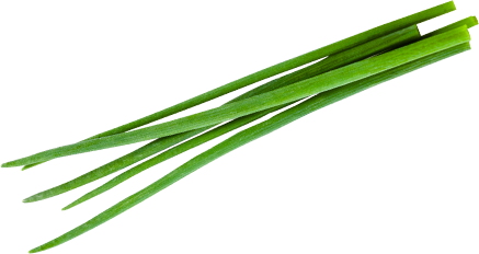 Chive